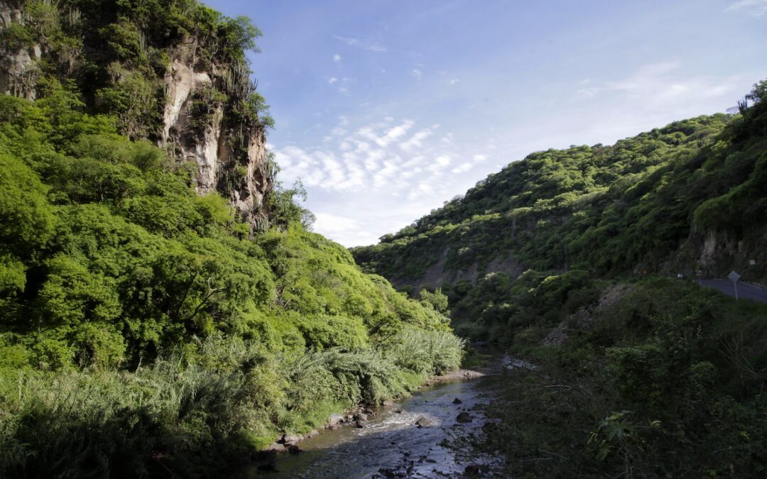 Pavoroso ecocidio en el río Santiago